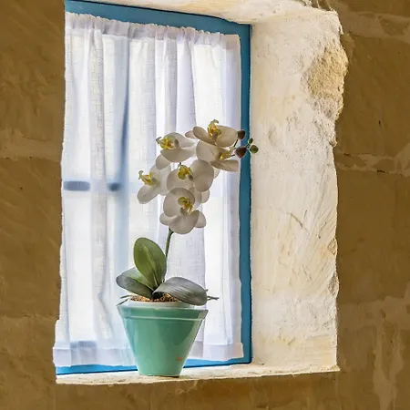 4 - Family X 3 By Solea Гостевой дом